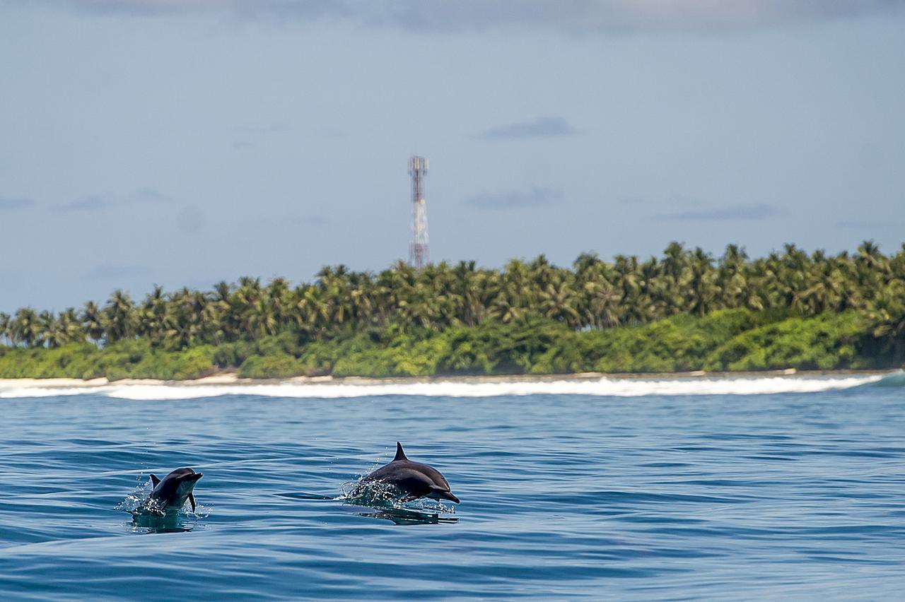 Detour Beach View Hangnaameedhoo Extérieur photo